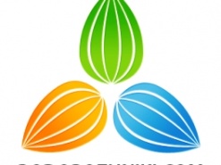 Подорожник - стартап для путешествующих