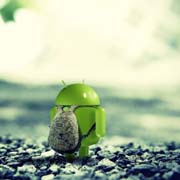 Samsung планирует заменить Android собственной платформой