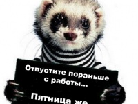 Новость часа в Уанете!