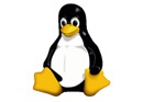 «Демографическое» исследование разработчиков ядра Linux