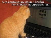 Кошки спасут идею Chatroulette от извращенцев