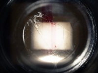 Трейлер секретного проекта Дж.Абрамса и Стивена Спилберга попал в интернет