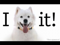 "Билайн" сравнил "лайк" с лайкой