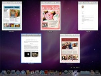 Apple Store перенес срок выхода Snow Leopard на август