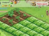 "ВКонтакте" не справилась с наплывом школьников