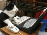 Yousticker.com: сохраняй и комментируй