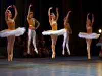 Воротилы  Сети "зависли"