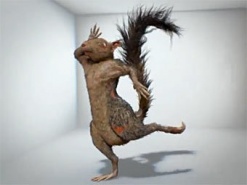 Рунет фанатеет  от "Ацкой Белочки"