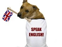 Интерактивные тематические словари на RapidSteps