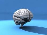 Twitter "разрушает" мозг