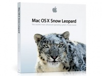 "Снежный Барсик" бьёт рекорды