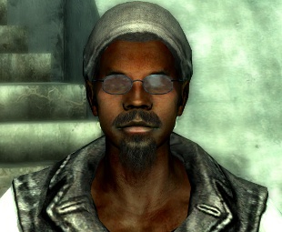 Актер озвучки намекнул на продолжение Fallout