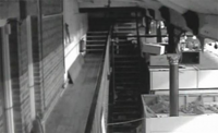 В Интернете появилось видео, на котором заснят призрак, скидывающий коробки