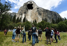 За что туристический бизнес должен благодарить Apple