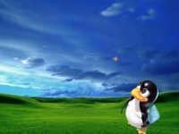 В Рунете все мечтают об отпуске