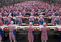 Сборщики iPhone продолжают выбрасываться с крыш