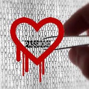 Исследование: Об уязвимости Heartbleed стало известно только после ее обнаружения