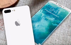 Apple намерена инвестировать $2,5 млрд в завод LG по производству OLED-дисплеев для iPhone
