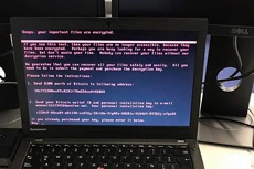 Распространители вируса Petya просчитались с шантажом