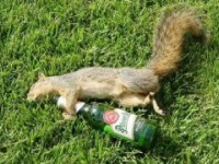 Вот, оказывается что, избавляет от похмелья !