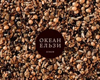 В Сети состоялась презентация нового альбома "Океана Ельзи" "Земля"