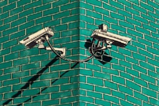 Вредоносам требуется всего 98 секунд для заражения IoT-устройств