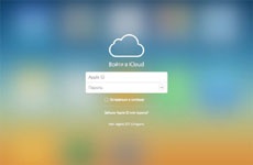 Хакеру, укравшему 30 аккаунтов знаменитостей в iCloud, грозит 5 лет тюрьмы