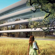 Apple опубликовала новое фото с места строительства Apple Campus 2