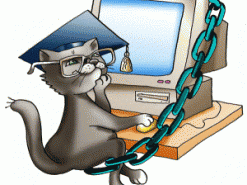 Почему не получится стать айтишником за три месяца