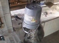 Грабитель с ведром на голове стал звездой Интернета