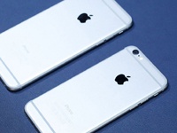 iPhone 6 почти в семь раз популярнее iPhone 6 Plus