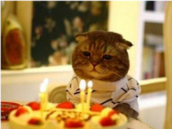 C днём рожденья, мировая паутина!