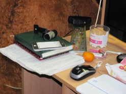 Харьковская милиция накрыла интернет-порностудию