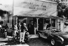 Как в пивном саду Alpine Inn придумали интернет