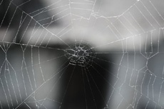 Исследователь опубликовал 1,6 ТБ данных о подпольных рынках «Темной паутины»