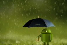 Доля самой свежей версии Android превысила 11%