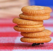 Самые интересные IT события прошлой недели