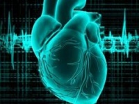 За свою жизнь юзер  "снашивает" четыре сердца