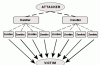 DDoS-атаки превращаются в инструмент для распространения вирусов