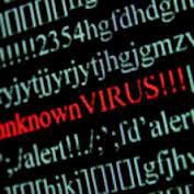 Полиция арестовала создателей ботнета Skynet