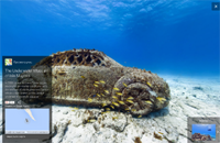 Подводный мир можно будет изучать через Google Street View