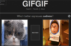 Американцы придумали универсальный язык общения на основе изображений .GIF