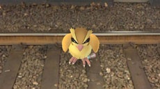 Найден способ ловить нужных покемонов в Pokemon GO