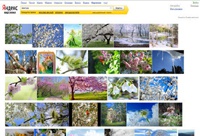 «Яндекс» начал объединять в серии картинки в результатах поиска