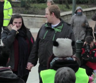 Поисковик помог мужчине сделать предложение