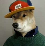 Самый стильный пёс в мире покорил Интернет