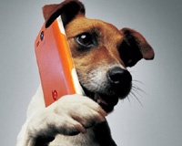 Китайцы выпустили пародию на iPhone - BQ Cupertino