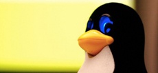 В Linux-приложении для шифрования был один универсальный пароль