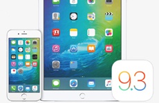 Apple выпустила iOS 9.3 beta 7 для iPhone, iPad и iPod touch