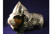 На интернет-аукционе продают доспехи для морской свинки